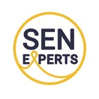 SEN-Experts logo - Similar company to Sendco Solutions