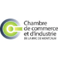 Chambre de commerce et d'industrie de la MRC de Montcalm logo - Similar company to Audax Nitor Inc.