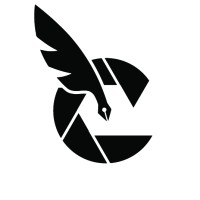 The Content Team logo - Similar company to Humanhue