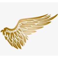 Angel Investor Inc. logo - Similar company to Cl Works, Llc