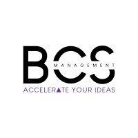 BCS Mngt logo - Similar company to Htag Consulting