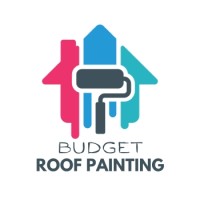 Budget Roof Painting logo - Similar company to The Party Guyz