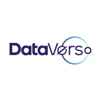 DataVerso logo - Similar company to Dataverso