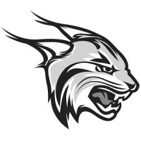 Lynx-Manufacturing(Pty) logo - Similar company to Pal Solutions (Pty) Ltd