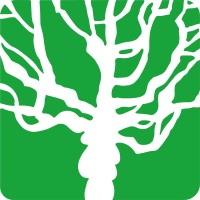 De Rotterdamse Montessorischool kindcentrum logo - Similar company to Basisschool Springwijs