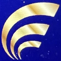 sarvantanet logo - Similar company to Detecteam