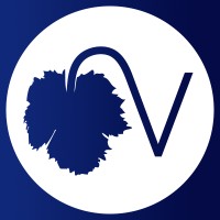 Veremes logo - Similar company to Hellomybot