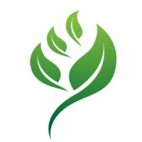 TNN Accountancy logo - Similar company to Impact Electronic Solutions