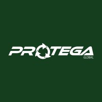 Protega Global logo - Similar company to Dcw
