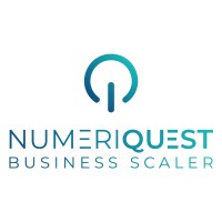 Numeriquest logo - Similar company to Value It