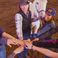 My Horse Journey logo - Similar company to Nsa Colorado Chapter