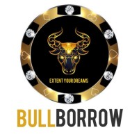 BULL BORROW logo - Similar company to Zylo Fitness