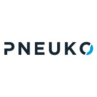 Pneuko Inc. logo - Similar company to Teleios Systems Limited