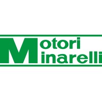 MOTORI MINARELLI SPA logo - Similar company to Fantic Motor S.P.A.