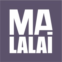 Malalai Tecnologia de Segurança logo - Similar company to Fac Segurança Da Informação