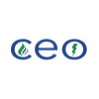 Consumer Energy Options, Inc
