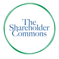 The Shareholder Commons logo - Similar company to Dst Wealth Management, Llc