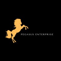 Pegasus Enterprise logo - Similar company to Ak Links