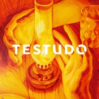Testudo logo - Similar company to Pohlcat Golf Course