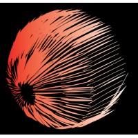 Plasticine (World Music Band) logo - Similar company to Progression Project