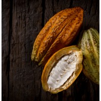 Asociación Ambiental Integral Cacaotera de Rivera AMBICAR logo - Similar company to Red Cacaotera