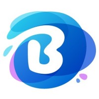 BISPIN Soft Tech logo - Similar company to Techxes
