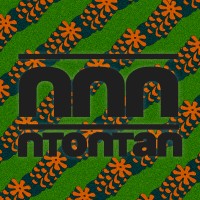 Ntontan RE logo - Similar company to M Perform