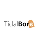 TidalBore Group logo - Similar company to Dash Applications
