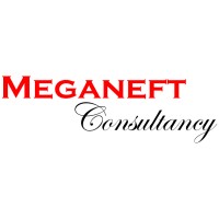Meganeft Consultancy logo - Similar company to Premium Completion