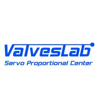 ValvesLab logo - Similar company to Pairis