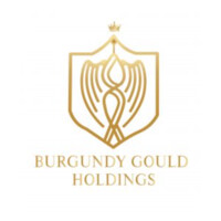 Burgundy Gould Holdings Corporation logo - Similar company to Dr. Jhumu Khan'S Laser Medical