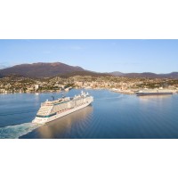Tasmanian Cruise Ship Shore Excursions & Tours logo - Similar company to Cruise Ship Substitute Custodian | Tort Liens