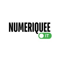 Numeriquee IT logo - Similar company to Storage-Tech Canada