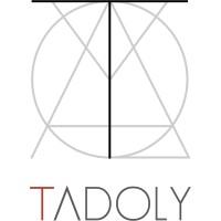 Tadoly LLC logo - Similar company to 74Software