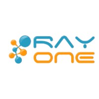 Ray One ERP logo - Similar company to Metafy Solutions