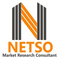NETSO Market Research Consultant logo - Similar company to Accent Research