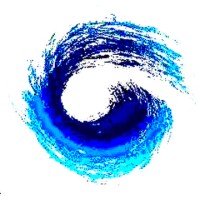 Wavelet Solutions Sdn Bhd logo - Similar company to Boraq Solutions