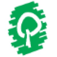 CSV Betula pubescens logo - Similar company to Vgsl 'Franciscus Gomarus'