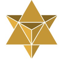 Quantum Evolution logo - Similar company to Amm Solutions