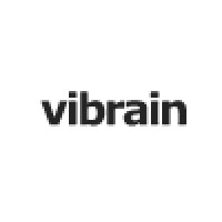 vibrain logo - Similar company to Axion Engineering