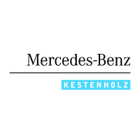 Kestenholz Autohaus GmbH Schwetzingen logo - Similar company to German Association For Earthquake Engineering And Structural Dynamics (Dgeb)