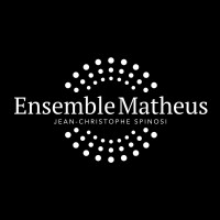 Ensemble Matheus logo - Similar company to Mélisme(S) - Gildas Pungier