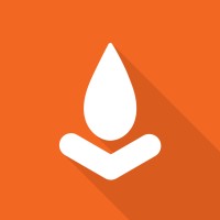 Flare Software, Inc. logo - Similar company to Silicon Halton