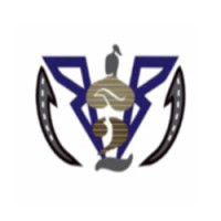 B2B Genie Pvt. Ltd. logo - Similar company to Doctor Sand Limited