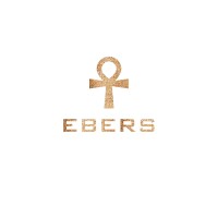 EBERS logo - Similar company to Medpro For Medical Systems