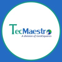 TecMaestro IT Solutions Pvt. Ltd. logo - Similar company to Informap Technology Center
