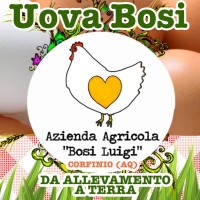 Uova Bosi logo - Similar company to Siaz Srl