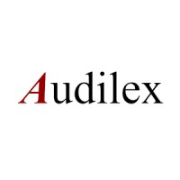Audilex Asesores logo - Similar company to Audilex Asesores S.A