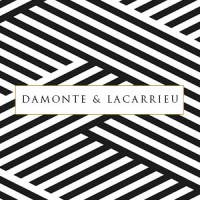 Damonte & Lacarrieu logo - Similar company to Archdesign