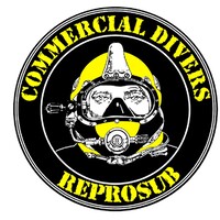 REPROSUB, S.L. logo - Similar company to Naviera Daedalus Sl